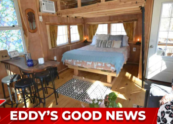 Eddys Good News A lovely treehouse on AirBnB and a - Travel News, Insights & Resources.