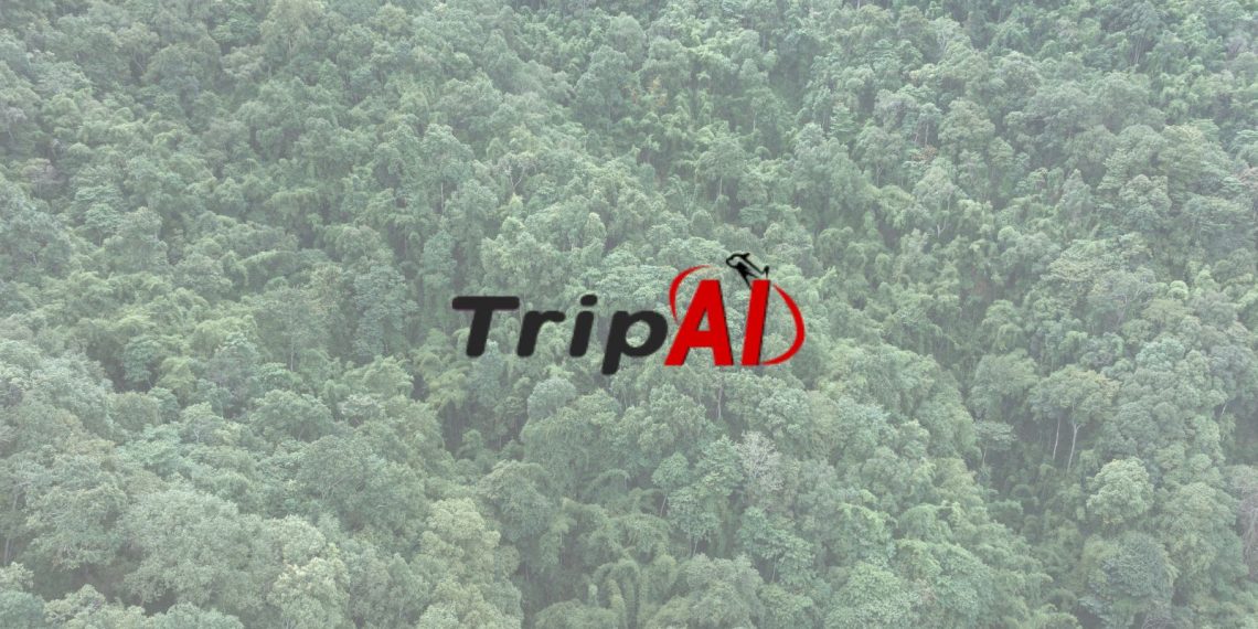 TripAI Move Towards a Sustainable Future With Status and Emissions.jpgkeepProtocol - Travel News, Insights & Resources.