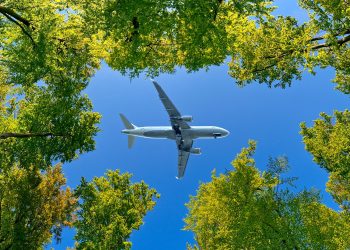 Decarbonizing aviation Executing on net zero goals - Travel News, Insights & Resources.