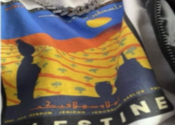 American Airlines Passenger Forced To Hide Palestine Sweatshirt On Flight - Travel News, Insights & Resources.