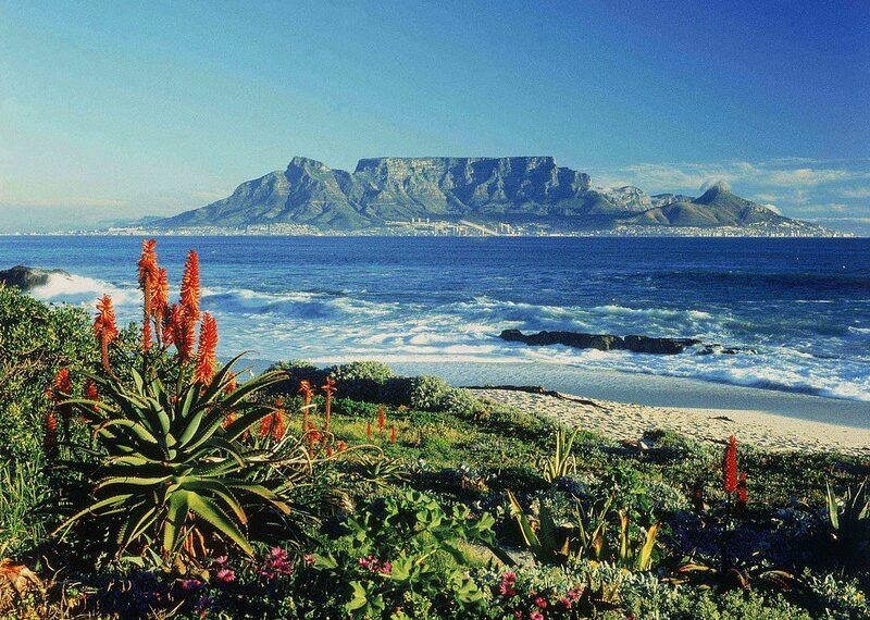 South Africa Considers Easing Visa Restrictions For Indians - Travel News, Insights & Resources.