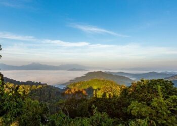 Thailands Carbon Offset Policies May Undermine Climate Action FULCRUM - Travel News, Insights & Resources.