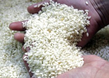Nigeria Rice prices skyrocket as local production declines Africanews - Travel News, Insights & Resources.