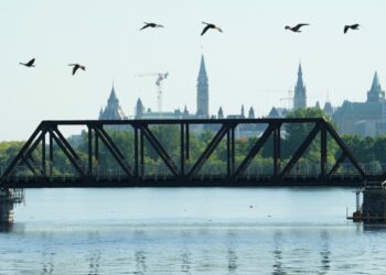 Canadian Geese fly over the Chief William Command Bridge multi-use pathway over the Ottawa River in Ottawa on Wednesday, Aug. 23, 2023. THE CANADIAN PRESS/Sean Kilpatrick