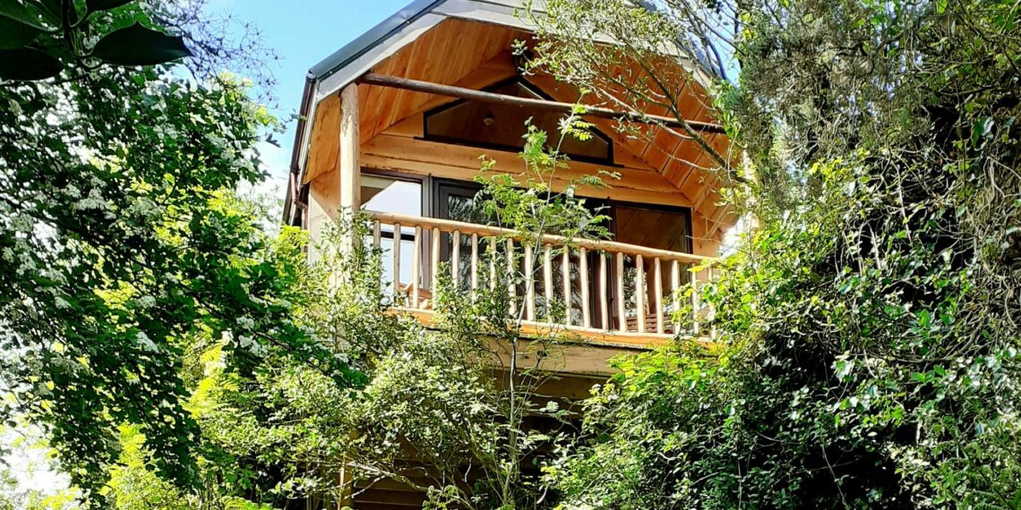 Picturesque Cork treehouse makes Airbnbs top 10 perfect reset stays - Travel News, Insights & Resources.