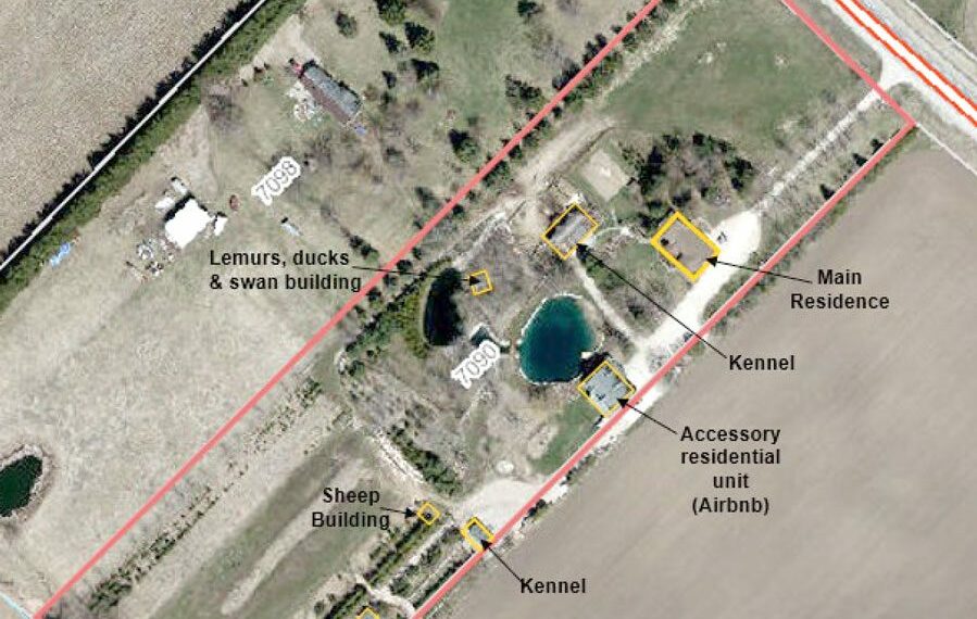 Questions raised over zoning proposal for kennel Airbnb in Mapleton - Travel News, Insights & Resources.