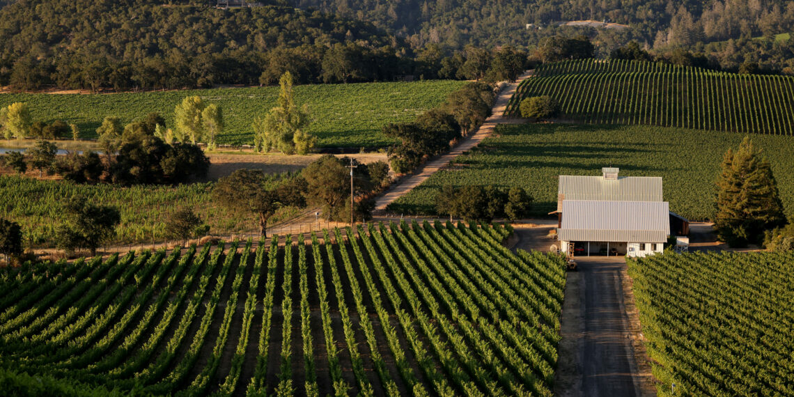 Wine Country Destination Tops Tripadvisors Travelers Choice Awards 2024 - Travel News, Insights & Resources.