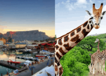 Cape Town to Kruger FlySafair announces NEW ROUTE SAPeople - Travel News, Insights & Resources.