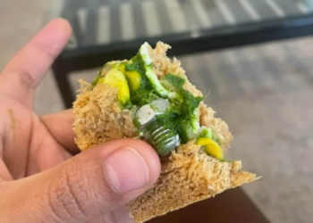 IndiGo passenger claims to find a screw in sandwich given - Travel News, Insights & Resources.