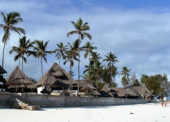 Zanzibar tourism sector hit by beer shortage - Daily Friend