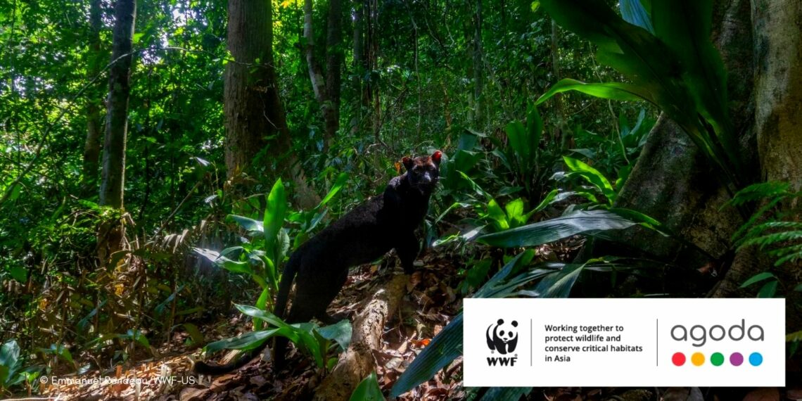 Agoda to donate USD1 to WWF for bookings in extended - Travel News, Insights & Resources.