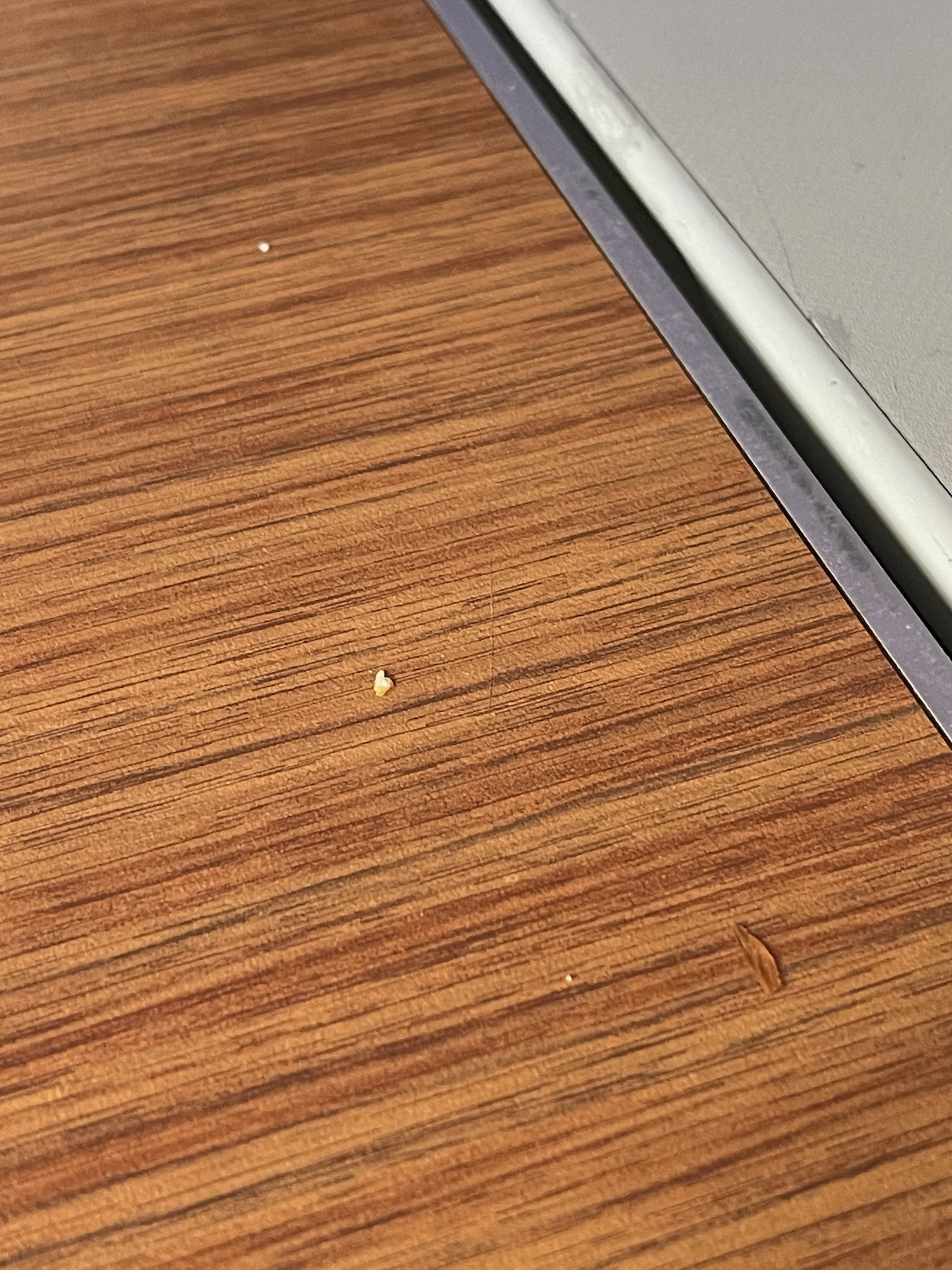 a wood surface with a crumb on it