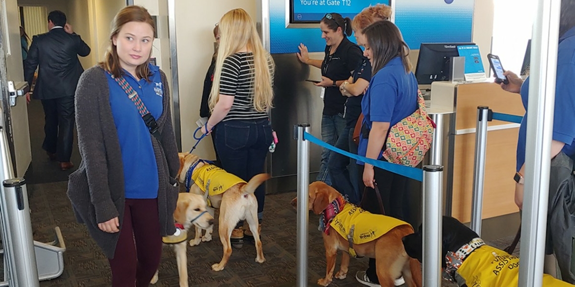 Carry On Dogs American Airlines - Travel News, Insights & Resources.