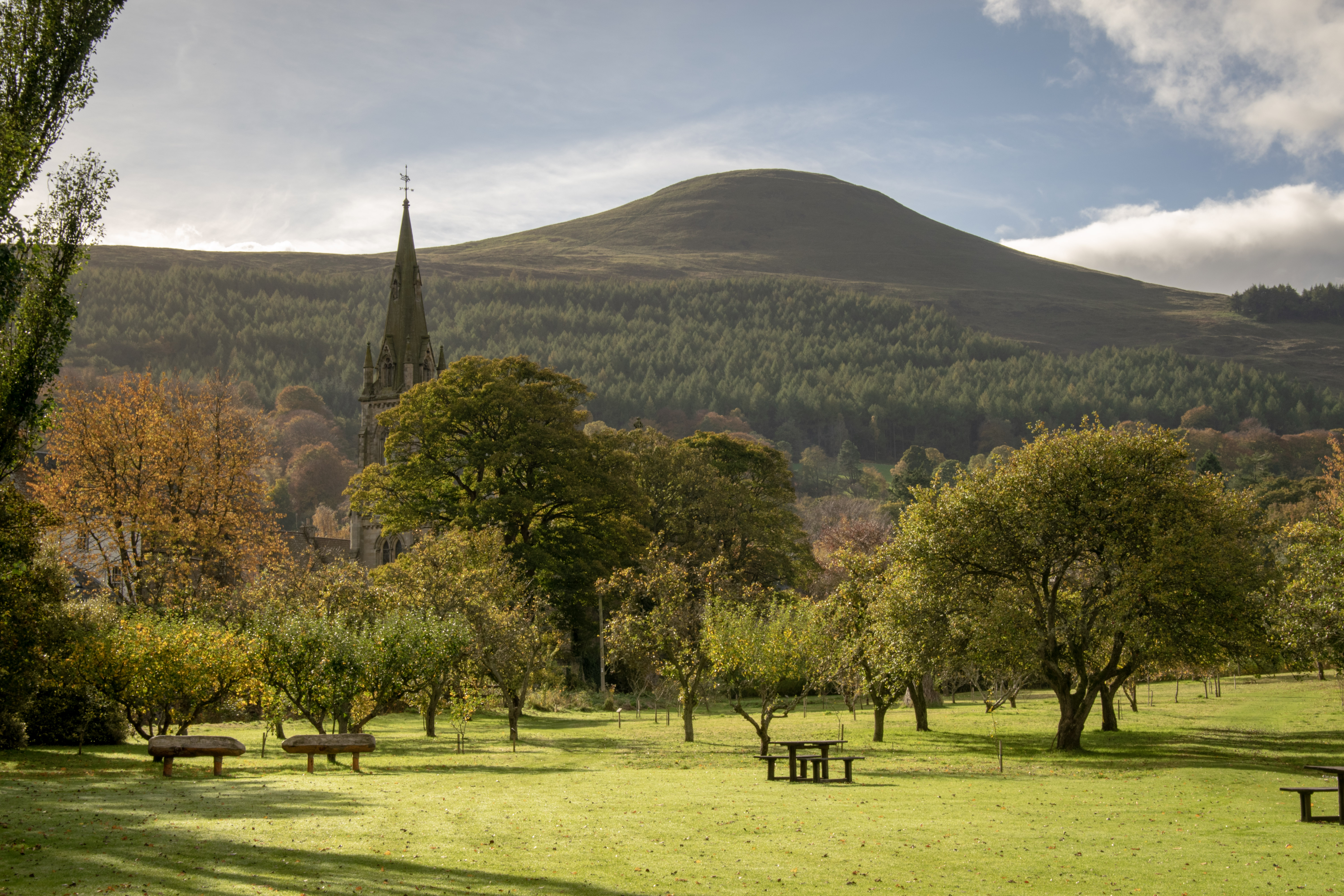 Scenic view of Falkland Hill in summer time