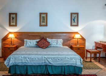 Indias Lemon Tree Hotels to expand presence in Rajasthan - Travel News, Insights & Resources.
