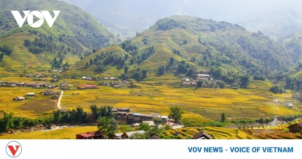 Indonesian travelers keen on trips to Vietnam - Travel News, Insights & Resources.