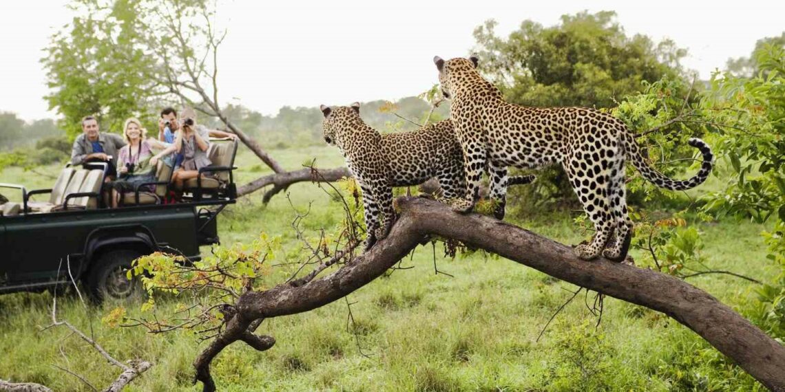 Kruger prepares for more visitors this Easter - Travel News, Insights & Resources.