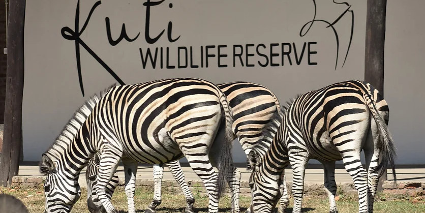 Local operator takes over management of Malawi reserve - Travel News, Insights & Resources.