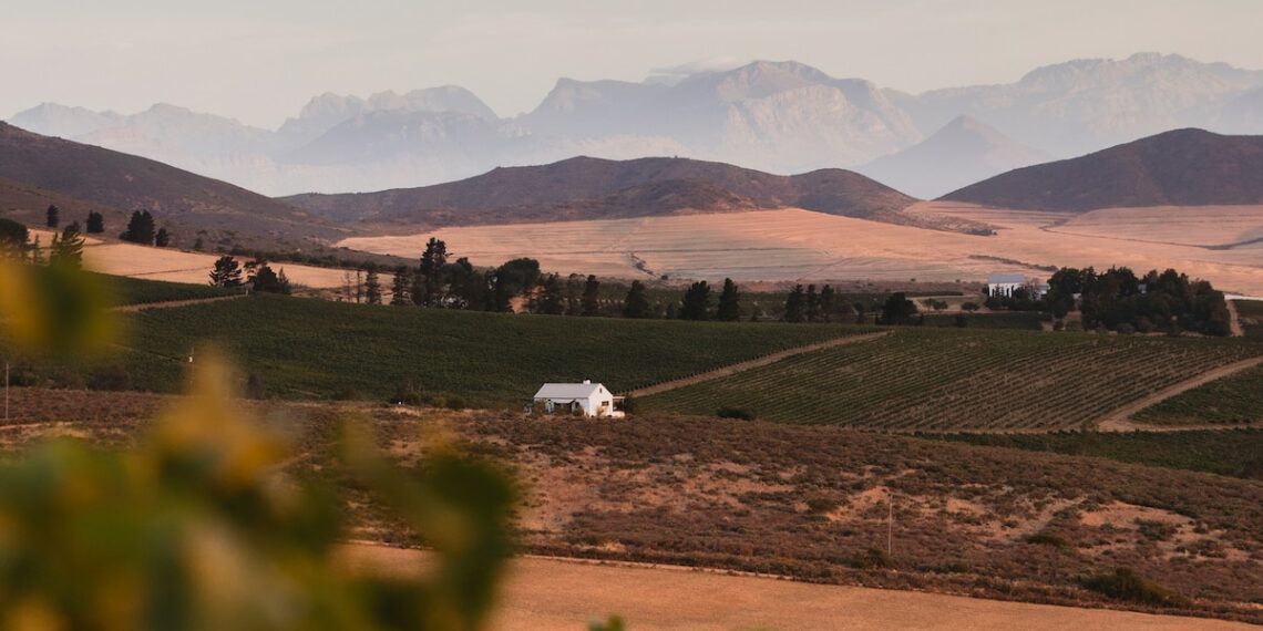 Meet the new winemakers taking South Africa by storm - Travel News, Insights & Resources.