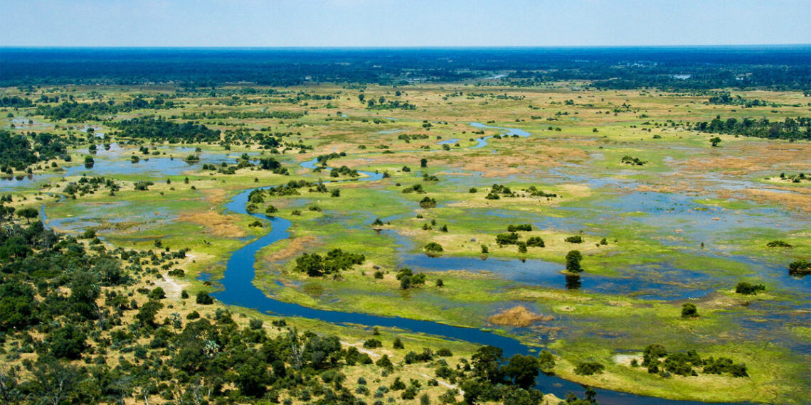 New Ethiopian Air route offers easier access to Botswanas Okavango - Travel News, Insights & Resources.