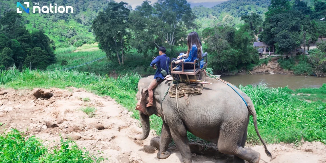 Thailand criticised for captive breeding of elephants for tourism.webp - Travel News, Insights & Resources.