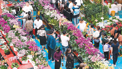Thriving flower industry boosts tourism in SW Chinas Yunnan - Travel News, Insights & Resources.