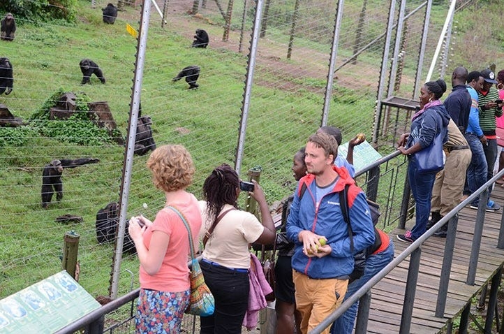Uganda tourist sector - Travel News, Insights & Resources.