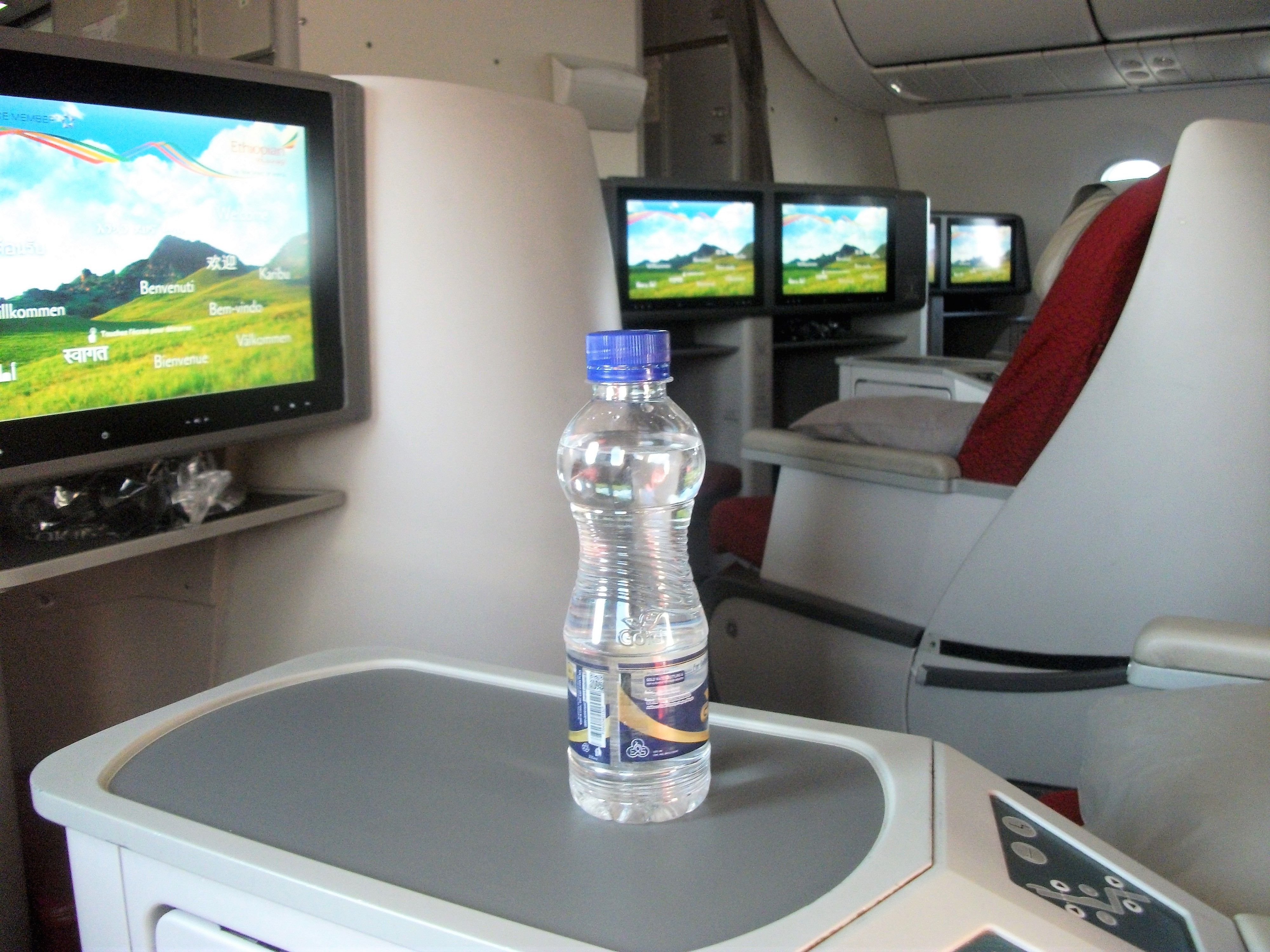 Ethiopian Airlines 787 business class cabin