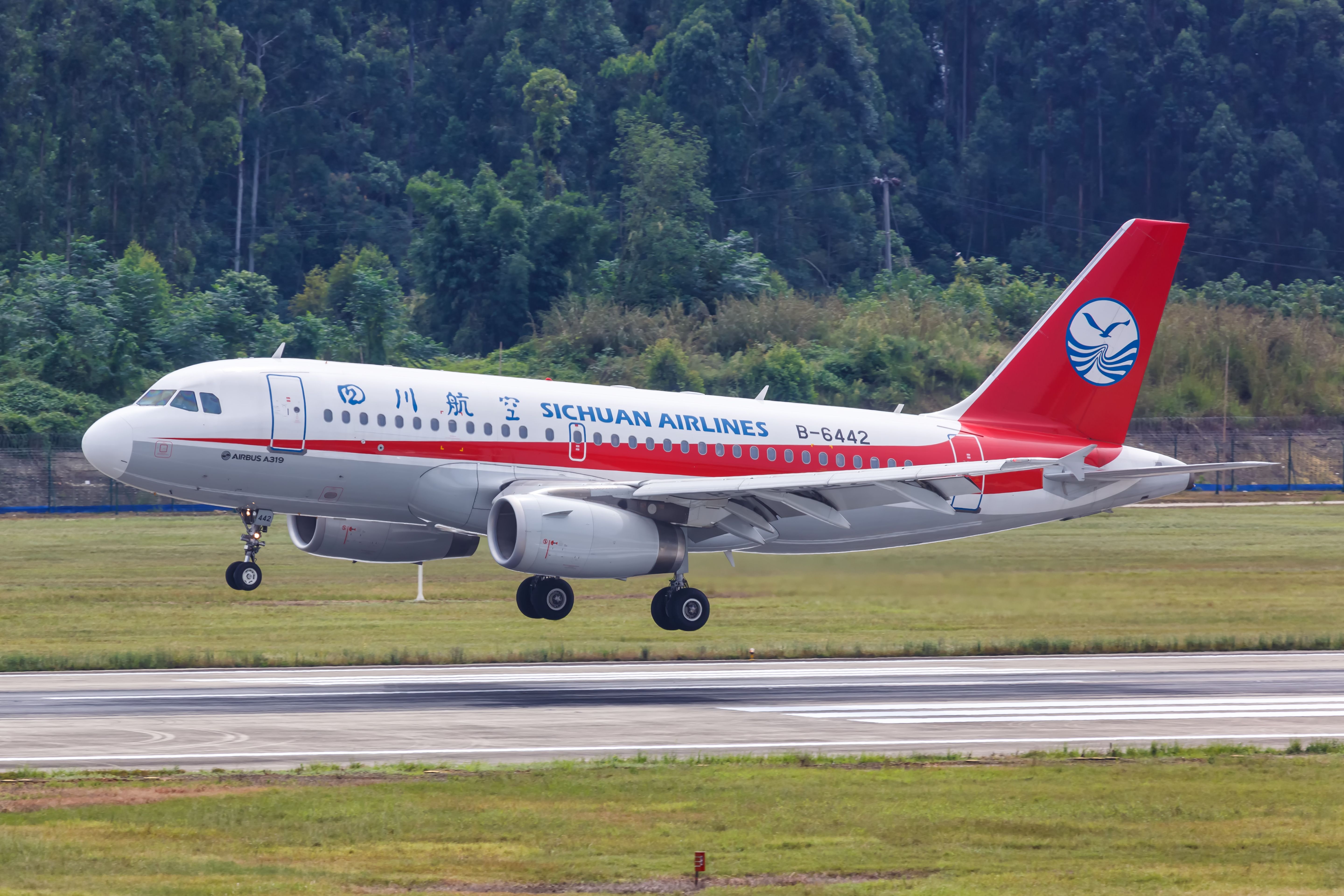 A Sichuan Airlines Airbus A319 just above a runway.