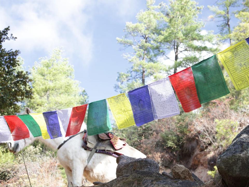 A horse for hire on the journey up to Tiger’s Nest Monastery (Sean Sheehan)