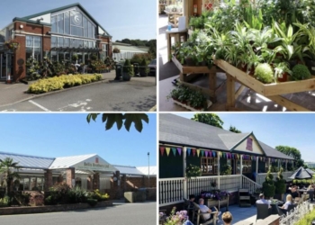 Best garden centres to visit in Wrexham and Flintshire according - Travel News, Insights & Resources.