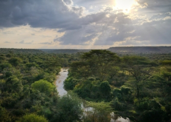 Exclusive concession for Kenyas Suyian Conservancy - Travel News, Insights & Resources.