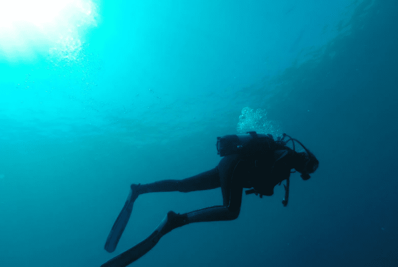 Gqeberha Hong Kong tourist dies after scuba diving - Travel News, Insights & Resources.