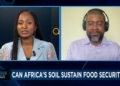 Is Africas soil healthy enough for food security Business Africa - Travel News, Insights & Resources.