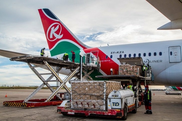 Kenyan Govt Could Lose Majority Shares In Kenya Airways - Travel News, Insights & Resources.