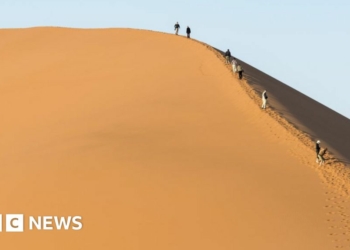 Namibia condemns tourists posing naked in dune safari - BBC News