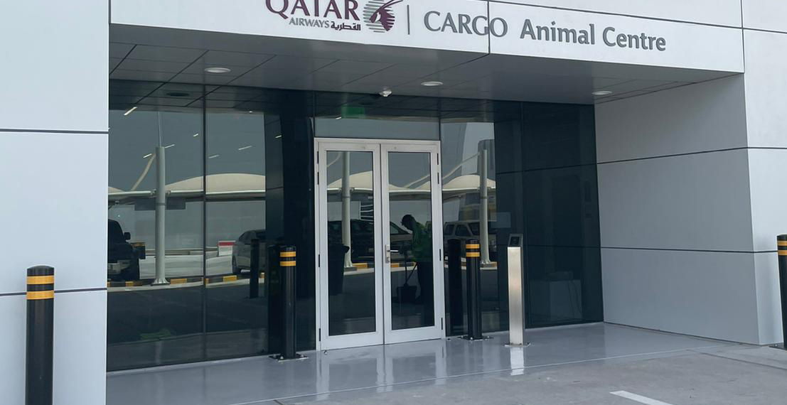 Qatar Airways Cargo opens worlds largest Animal Centre - Travel News, Insights & Resources.
