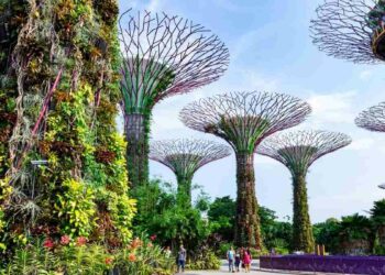 Singapore Tourism Board MakeMyTrip To Curate Unique Holiday Packages - Travel News, Insights & Resources.