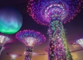 Soon Witness The Magnificence Of Northern Lights In Singapores Gardens - Travel News, Insights & Resources.