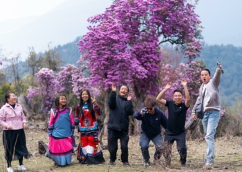 Southwest Chinas Yunnan sees tourism boom in Q1 - Travel News, Insights & Resources.