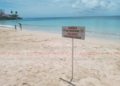 Stakeholders: Shark attack can hurt Tobago’s tourism - Trinidad and Tobago Newsday