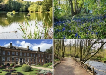 Top recommendations for a perfect summer stroll across Wrexham and - Travel News, Insights & Resources.