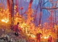 Uttarakhand forest fire fallout: Hotel bookings in Kumaon witness mass cancellations
