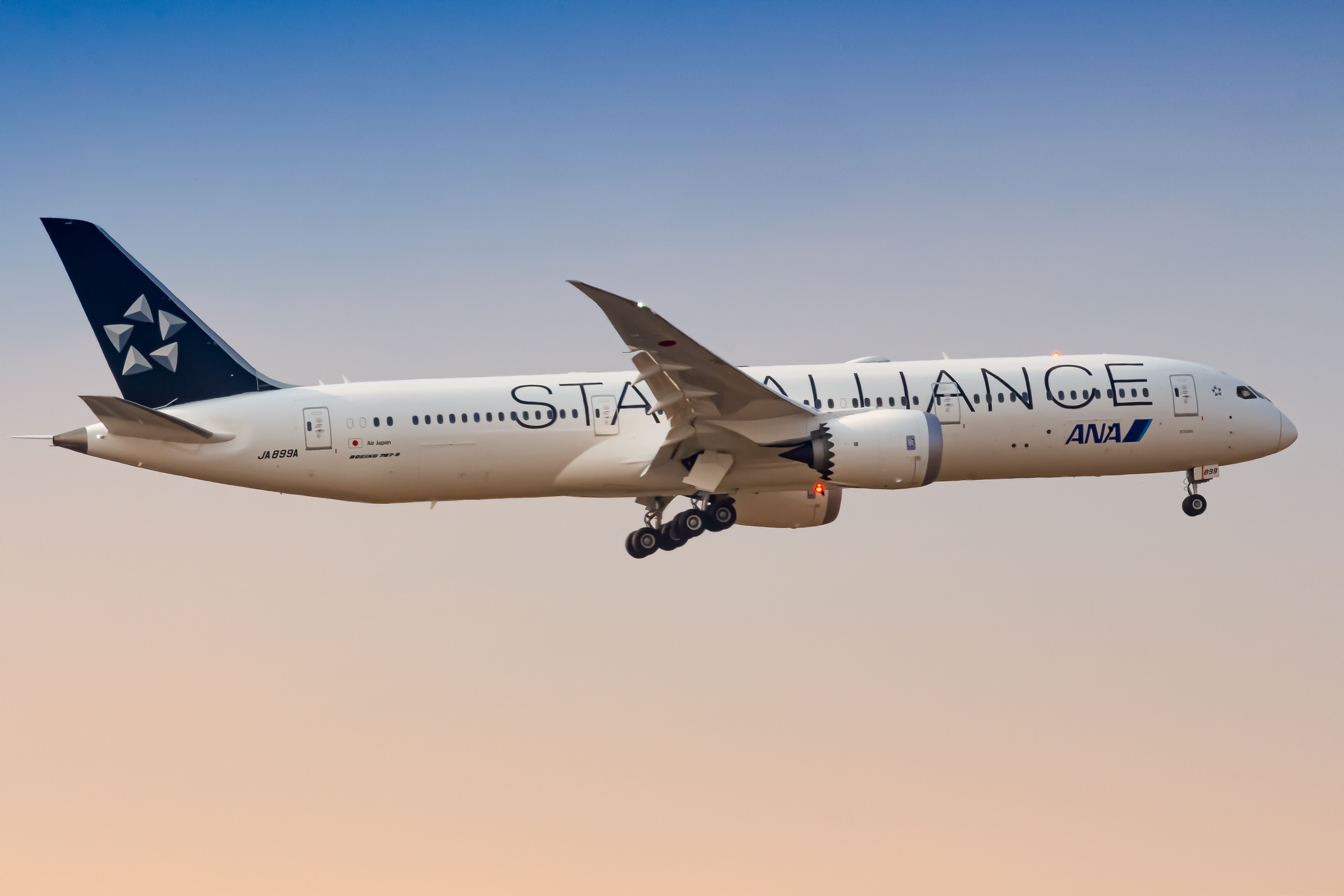 An ANA Boeing 787 in Star Alliance Livery flying in the sky.