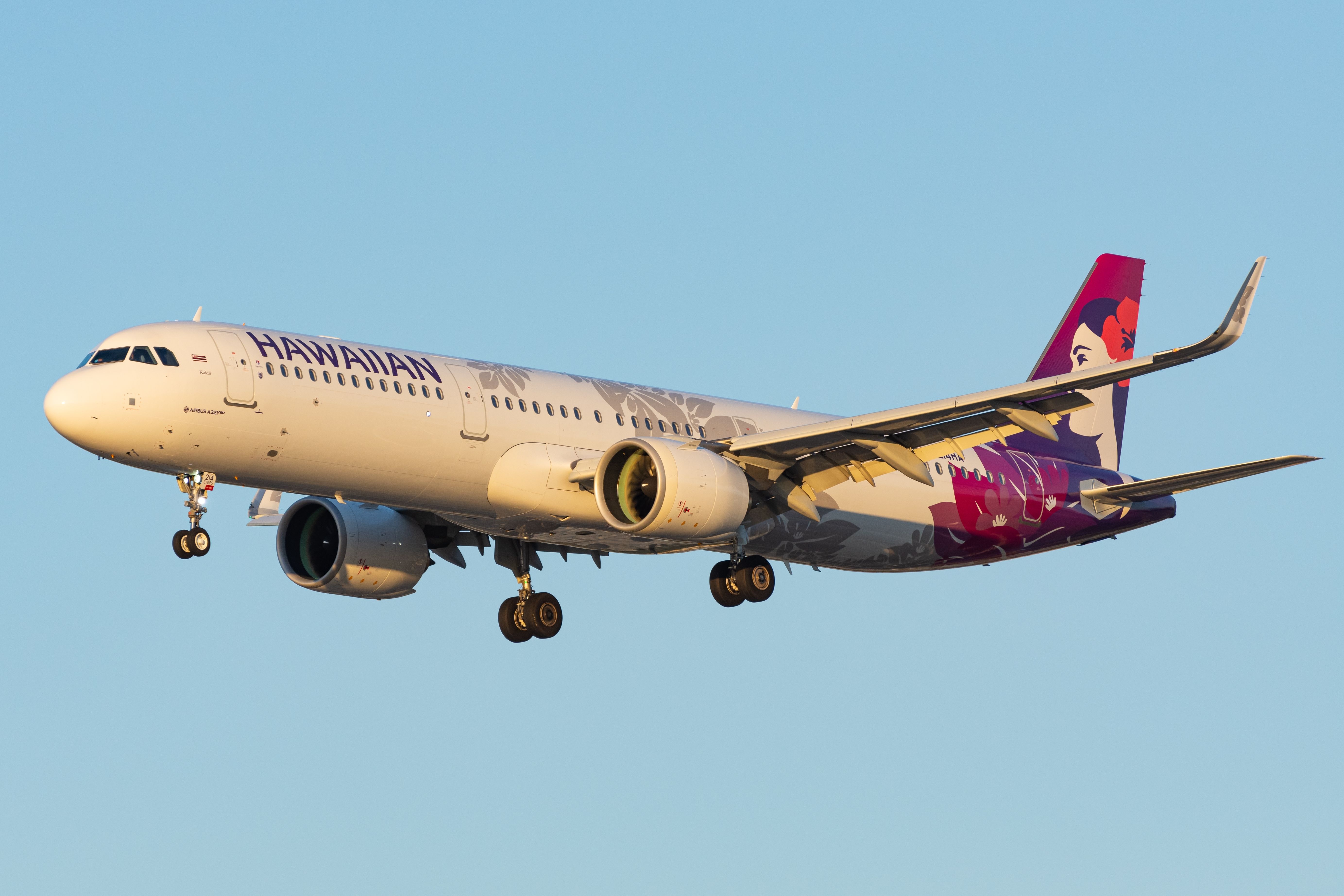 A Hawaiian Airlines Airbus A321neo flying in the sky.