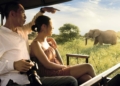 Africa must act on Chinese traveller confidence scaled - Travel News, Insights & Resources.