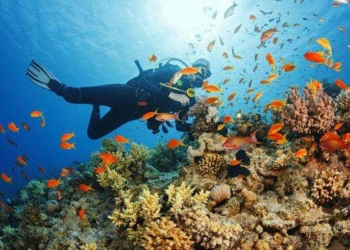 Check out these new marine tourism regulations in Saudi Arabia - Travel News, Insights & Resources.