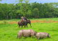 Chitwan National Park - Travel News, Insights & Resources.