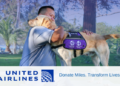 Donate Your United Airlines Miles to Help Guide Dogs of - Travel News, Insights & Resources.