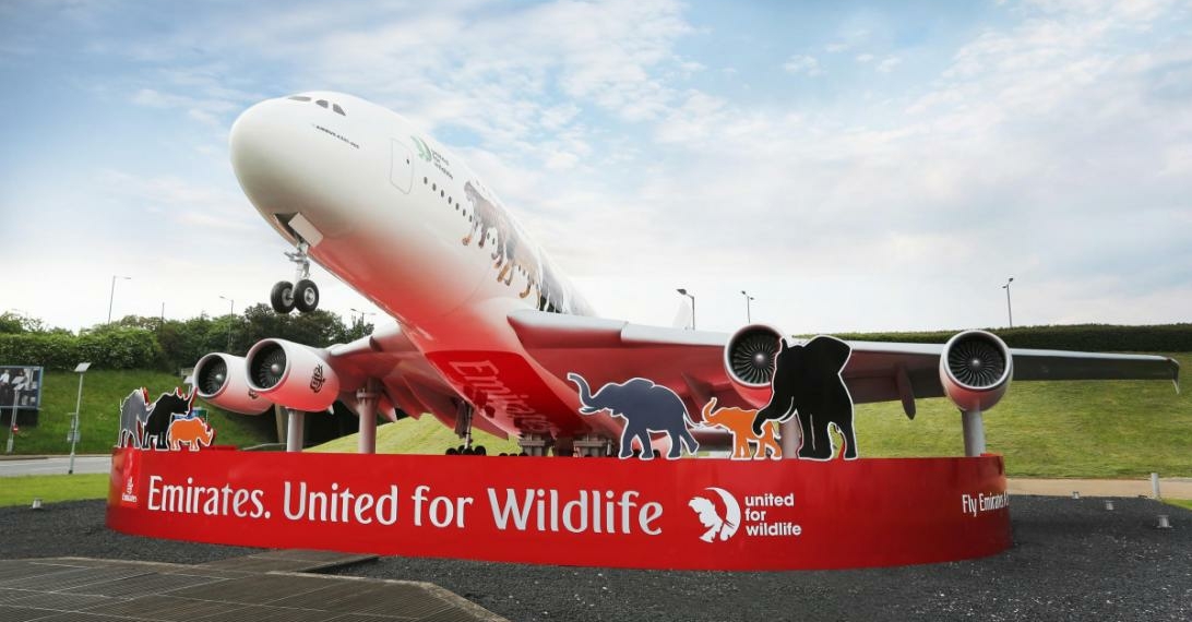 Donkey Sanctuary praises airline for helping to combat donkey skin - Travel News, Insights & Resources.